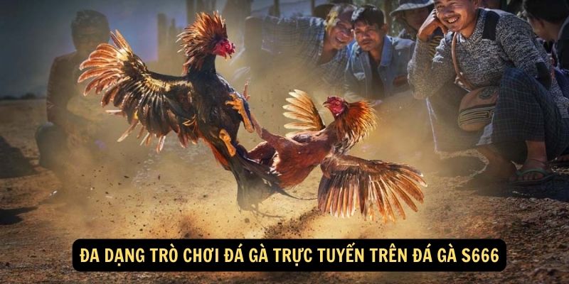 Tổng hợp những loại hình đá gà đang có tại S666 hiện nay